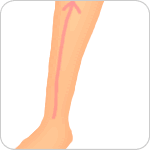 前側の膝下から足首のリンパマッサージ