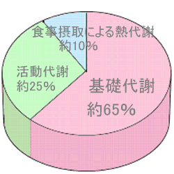 標準的な代謝の割合